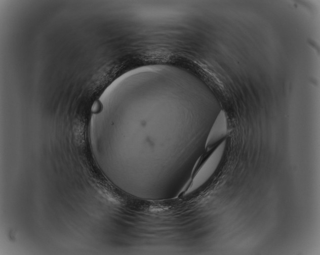 X0000091540641200709071105