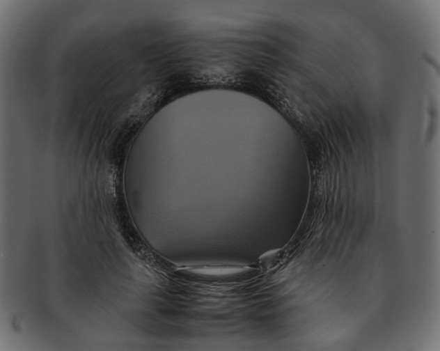 X0000091540643200709071105