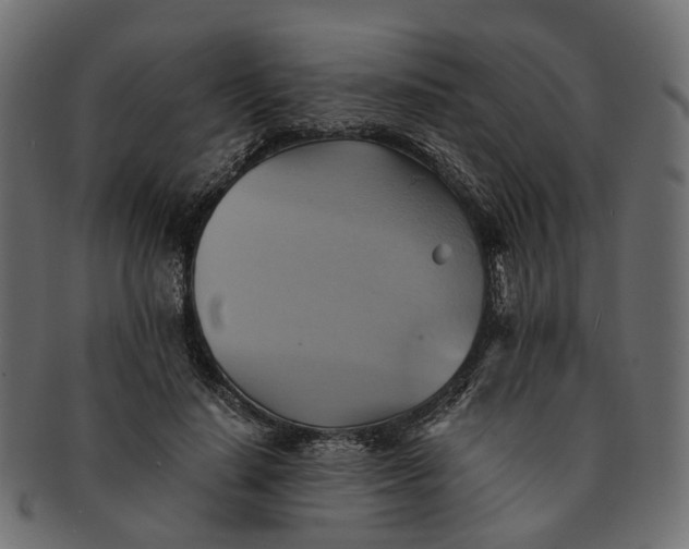 X0000091540644200709071105