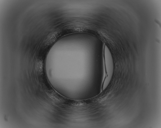 X0000091540646200709071105