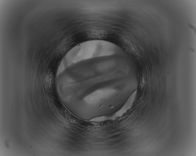 X0000091540647200709071105