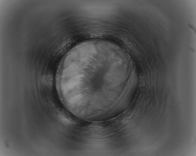 X0000091540648200709071105