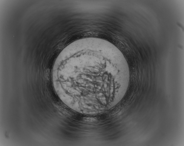 X0000091540649200709071105
