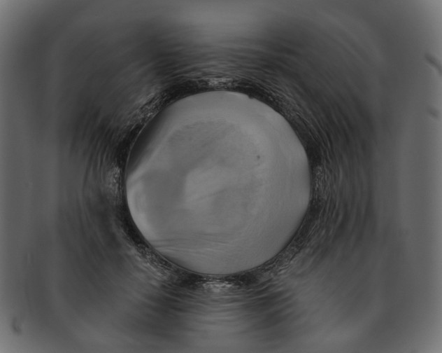 X0000091540650200709071105