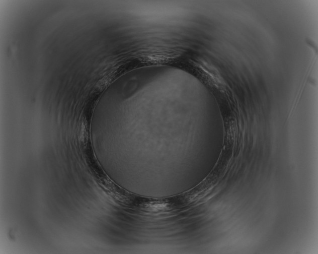 X0000091540651200709071105