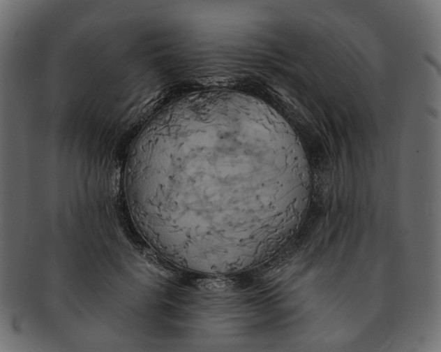 X0000091540652200709071105