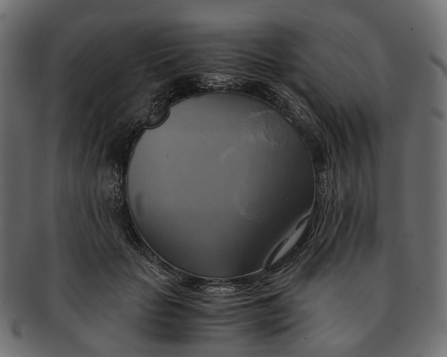 X0000091540653200709071105