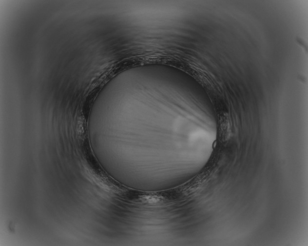 X0000091540654200709071105