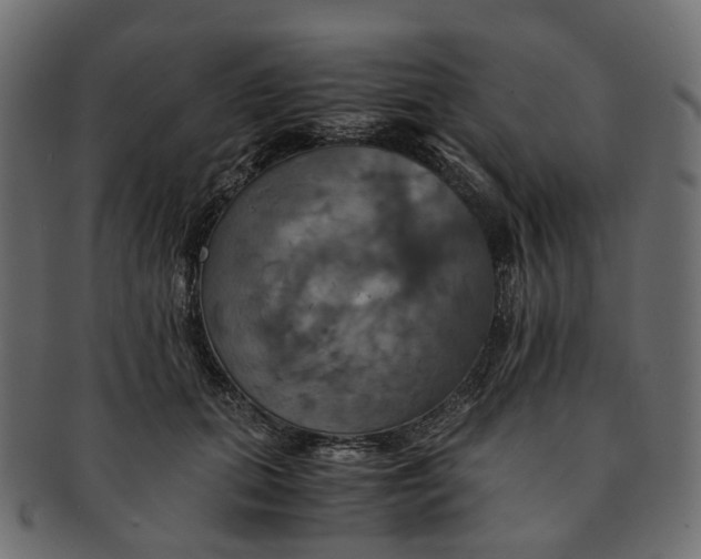 X0000091540655200709071105