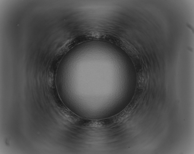 X0000091540656200709071105