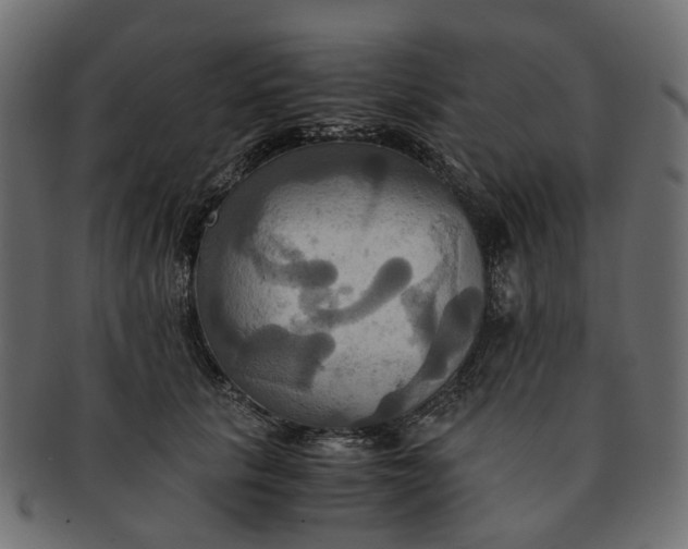 X0000091540657200709071105