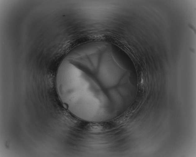 X0000091540658200709071105