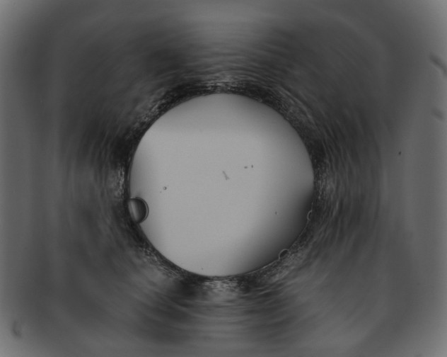 X0000091540660200709071105