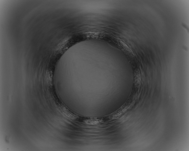 X0000091540661200709071105