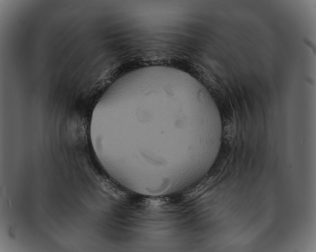 X0000091540662200709071105