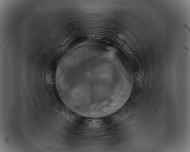 X0000091540663200709071105