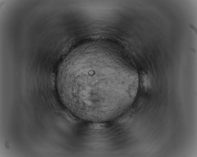 X0000091540664200709071105