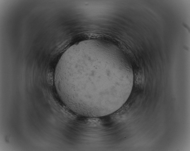 X0000091540666200709071105