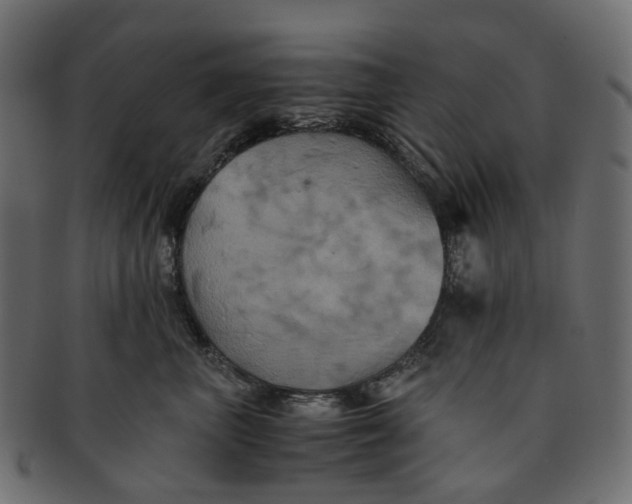 X0000091540667200709071105