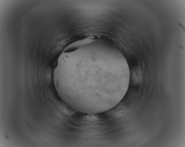 X0000091540668200709071105