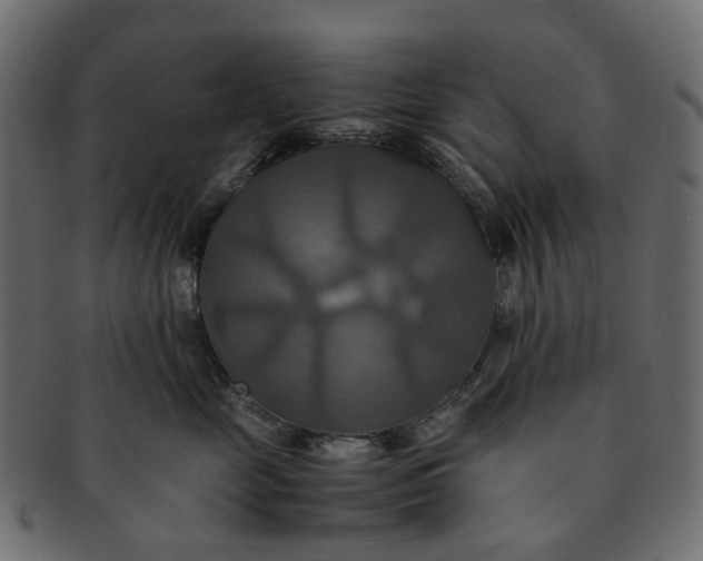 X0000091540669200709071105