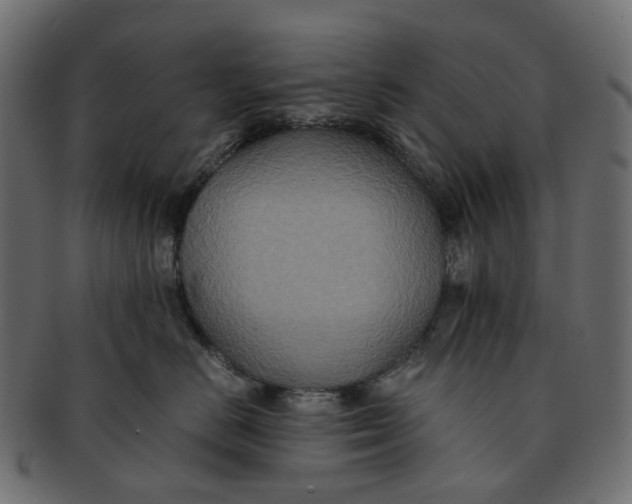 X0000091540670200709071105