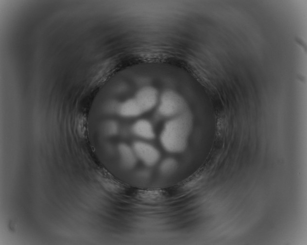 X0000091540671200709071105