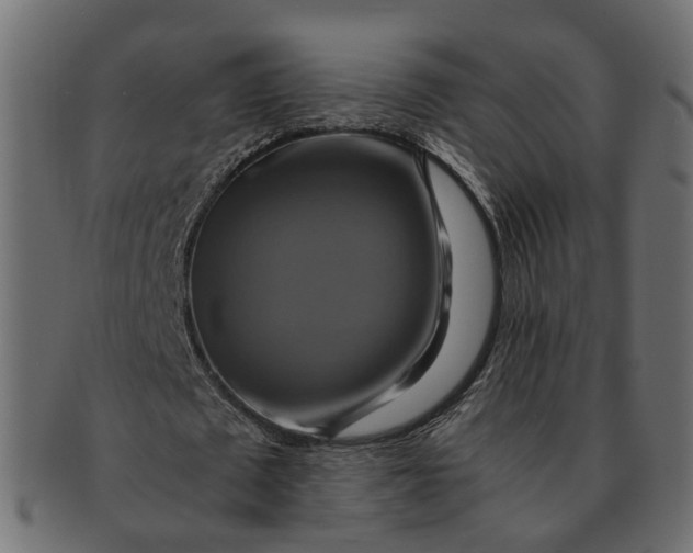 X0000091540673200709071105