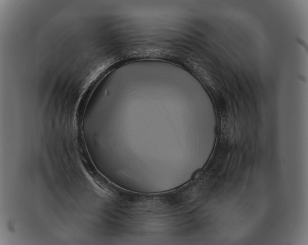 X0000091540674200709071105