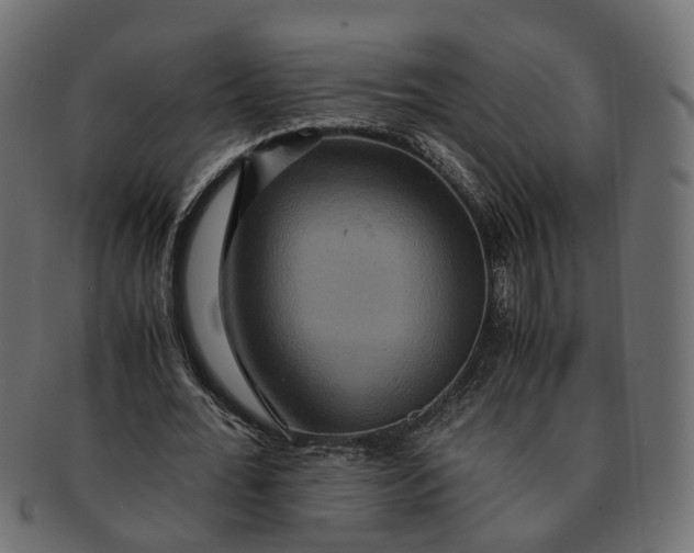 X0000091540676200709071105