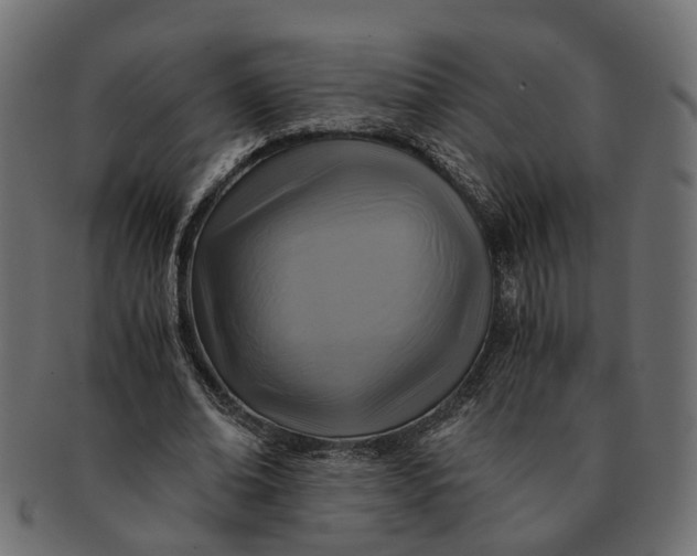 X0000091540678200709071105