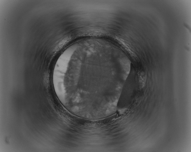 X0000091540679200709071104