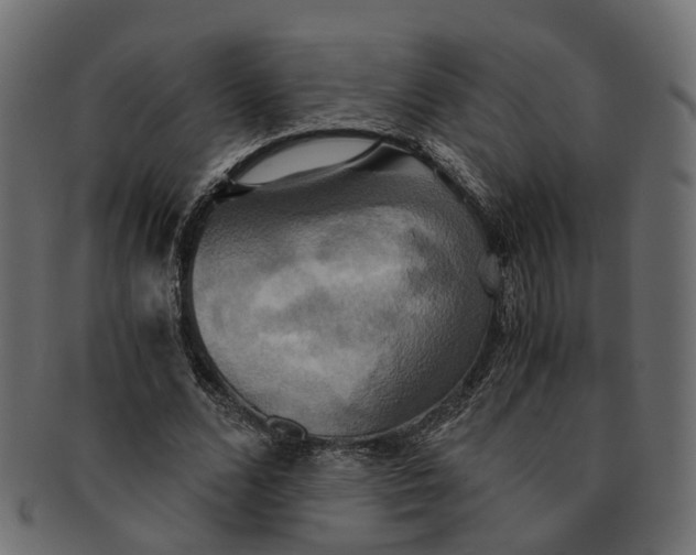 X0000091540680200709071104