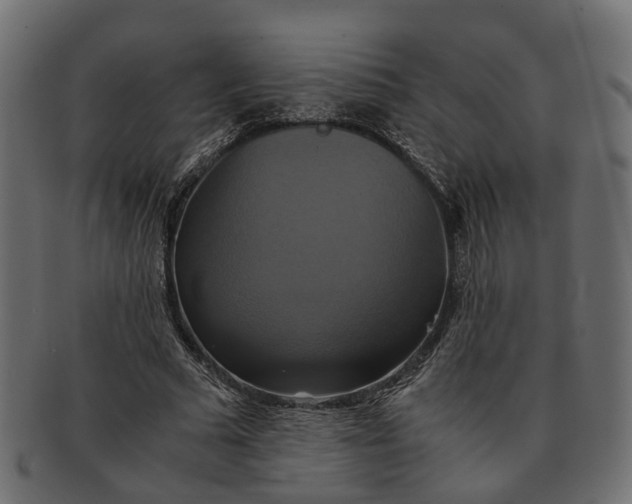 X0000091540681200709071104