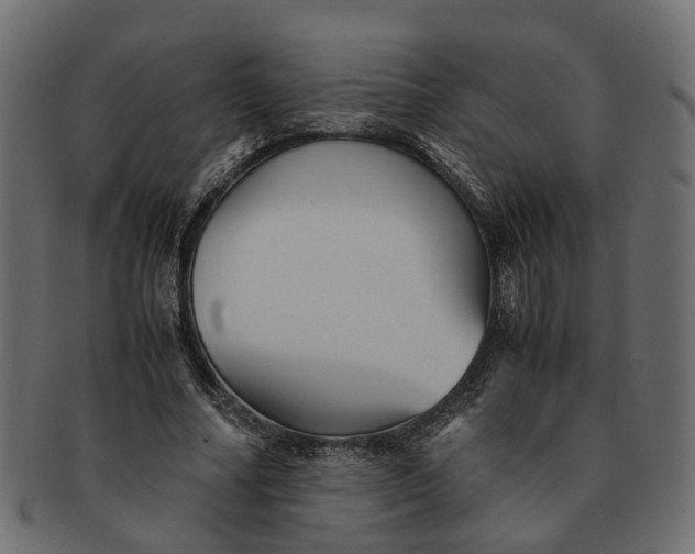 X0000091540682200709071104