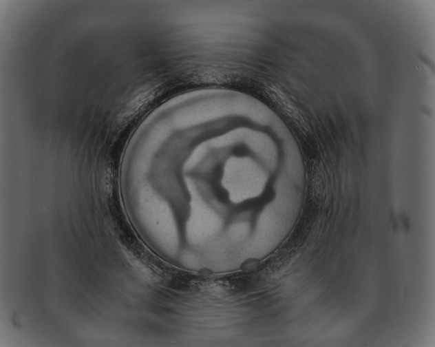 X0000091540683200709071104