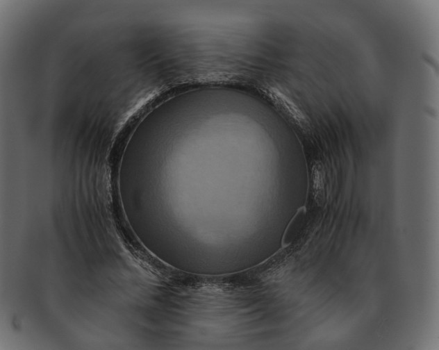 X0000091540684200709071104