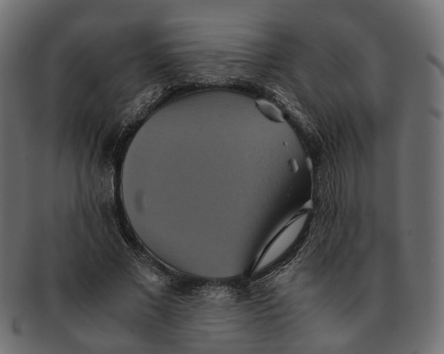 X0000091540685200709071104