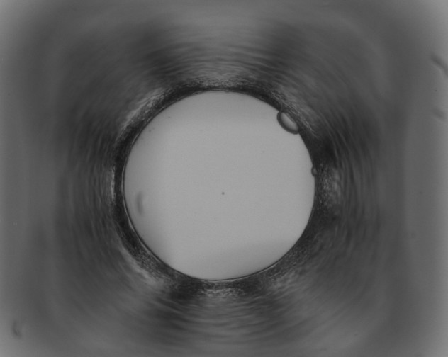 X0000091540686200709071104