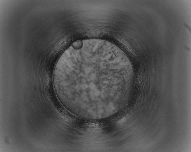 X0000091540687200709071104
