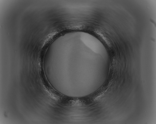 X0000091540688200709071104