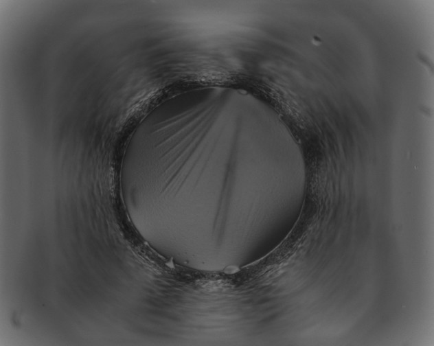 X0000091540689200709071104