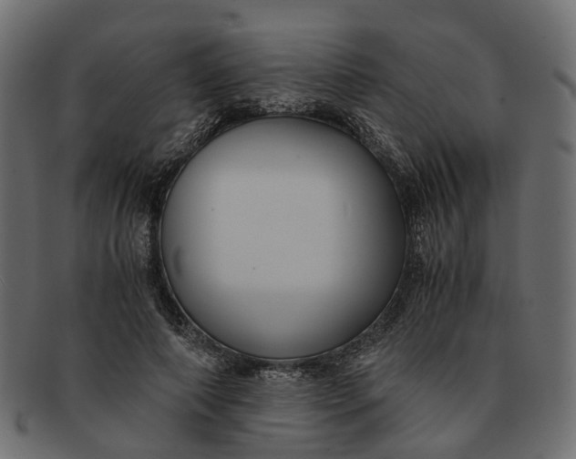 X0000091540690200709071104