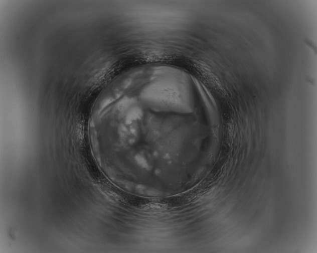 X0000091540691200709071104