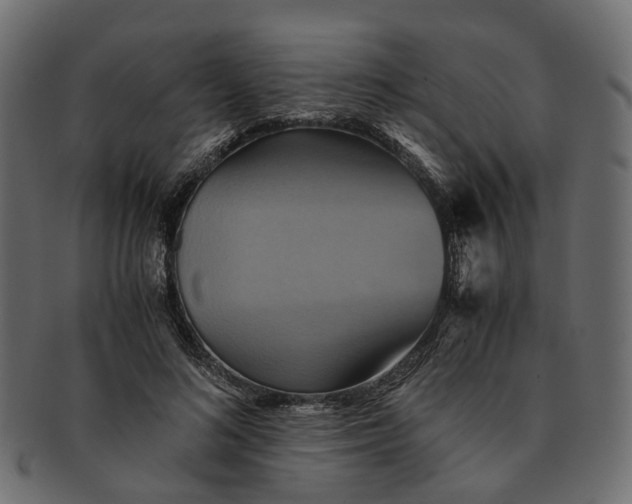 X0000091540692200709071104