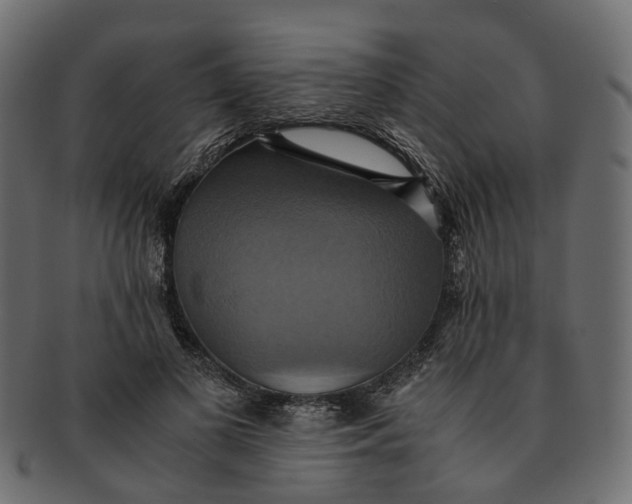 X0000091540693200709071104