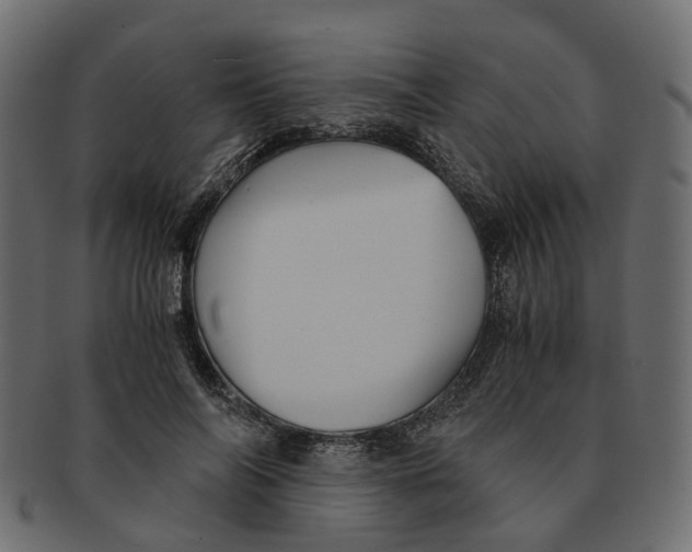 X0000091540694200709071104