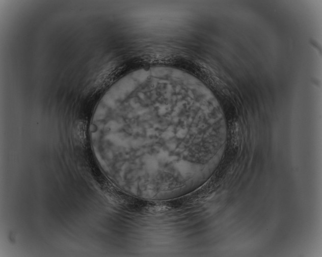 X0000091540695200709071104