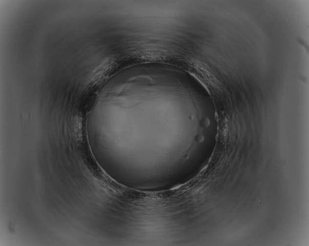 X0000091540696200709071104