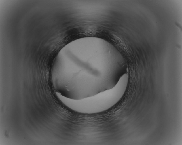 X0000091540697200709071104